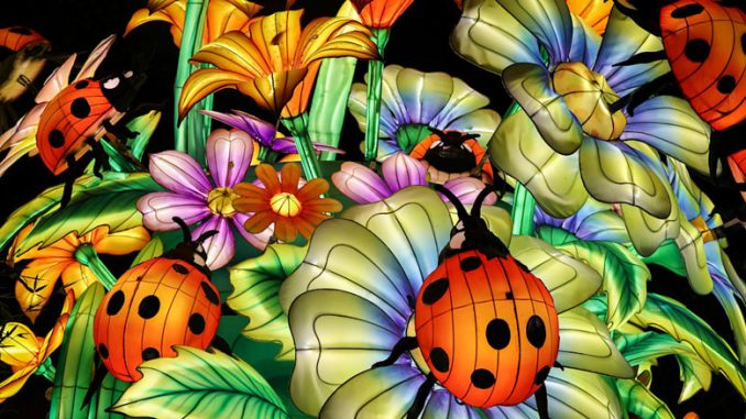 Glow Wild в Brookfield Zoo Chicago: A Lantern Festival of Hope