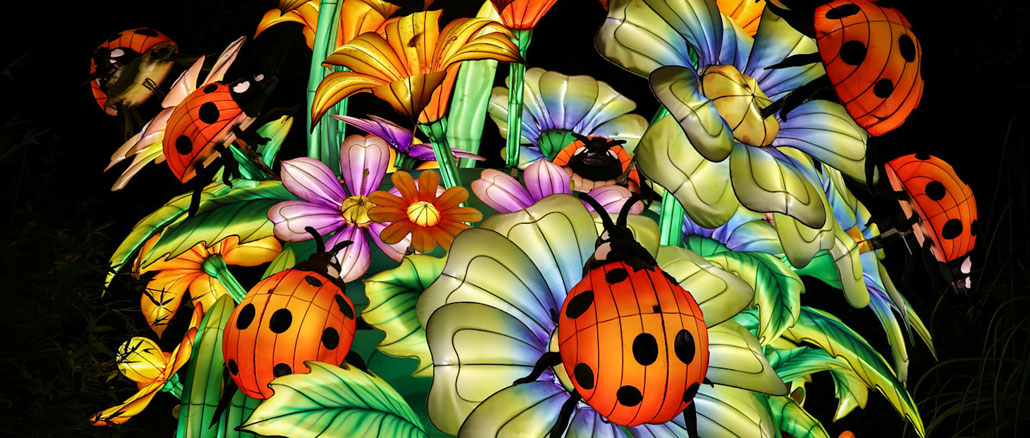 Glow Wild в Brookfield Zoo Chicago: A Lantern Festival of Hope