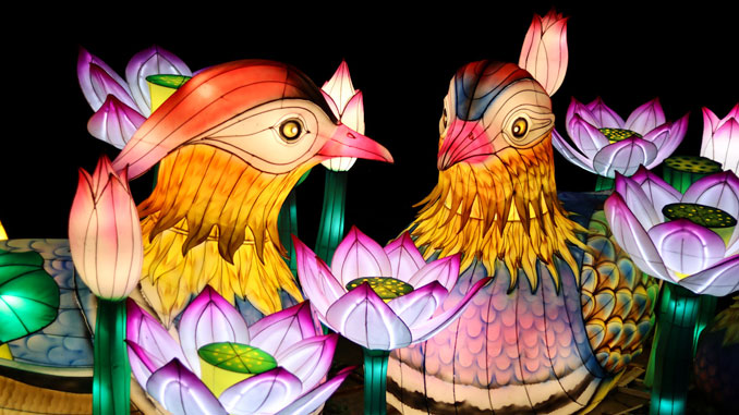 Glow Wild в Brookfield Zoo Chicago: A Lantern Festival of Hope