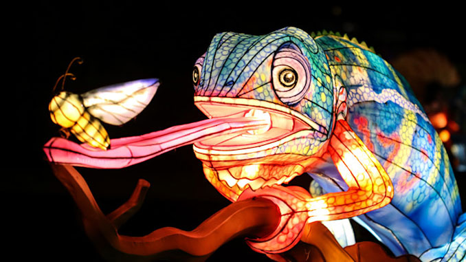 Glow Wild в Brookfield Zoo Chicago: A Lantern Festival of Hope