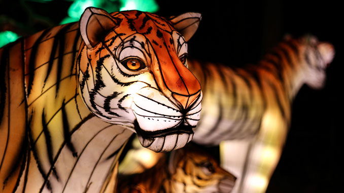 Glow Wild в Brookfield Zoo Chicago: A Lantern Festival of Hope