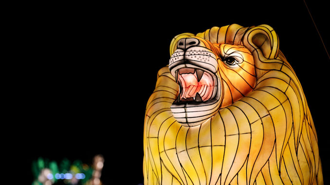 Glow Wild в Brookfield Zoo Chicago: A Lantern Festival of Hope