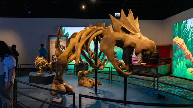 Pokémon Fossil Museum