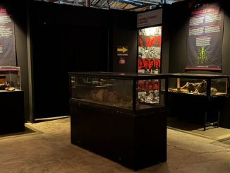 Serial Killer: The Exhibition